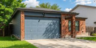 15410 Wood Sorrel Gallery 2