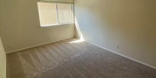 Camellia Manor Apartments Gallery 11