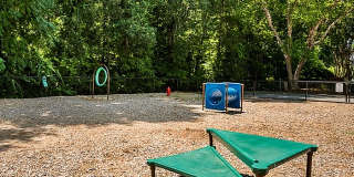 Savannah Place Gallery 10