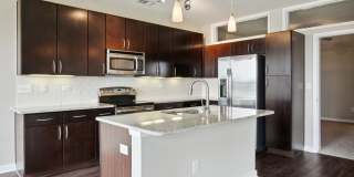 COLE COLE Gallery 30