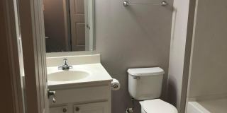 5536 Cedar Gallery 17