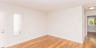 Ocean Vista Gallery 43