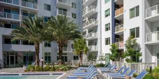 Tortoise One Gallery 32