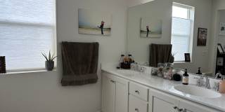 PET FRIENDLY Gallery 6