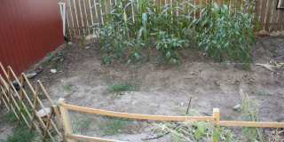 938 800 E Gallery 11