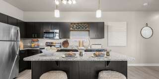 Springs at Coral Shores Gallery 17