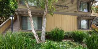 Elan Beachcomber La Jolla Gallery 1