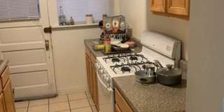 1151 West Addison Gallery 1
