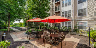 Sofi Lyndhurst Gallery 47