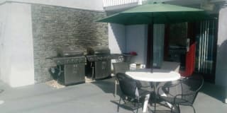 Newport Plaza Gallery 10