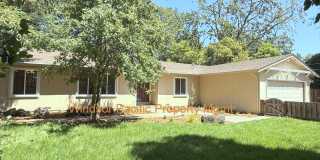 Remodeled one story home in highly desirable Alamo with huge park like yard ! Remodeled one story home in highly desirable Alamo with huge park like yard ! Gallery 3