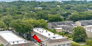 5221 Bayshore Blvd Gallery 1
