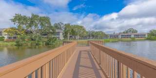 Solana Vista Gallery 23