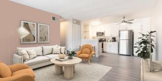 Pacific Pointe Gallery 4