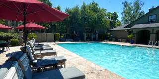 The Preserve at Creekside Gallery 27