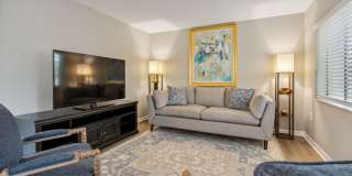 Buena Vista Gallery 10