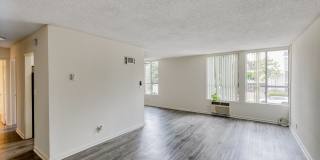 526 Ardmore Gallery 10