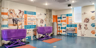 Main and Clay Gallery 30