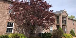 1515 W Pacific St Gallery 1