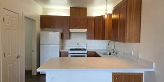 Polo Villas Gallery 1