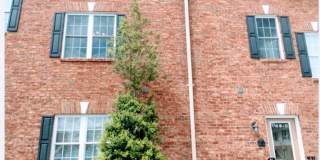 Great Location 2 Bedroom Apartment Great Location 2 Bedroom Apartment Gallery 1