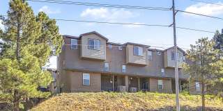 2561 W Cripple Creek Drive Gallery 27