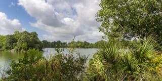 Breakers at Windmill Lakes Gallery 42