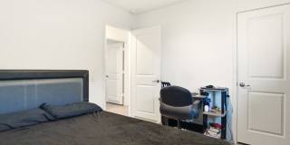 4438 ZOE PASS Gallery 22