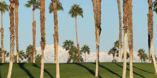 269 Vista Royale Circle W Gallery 1