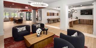 Altera Union City Gallery 15