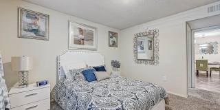 St. Johns Forest Gallery 6