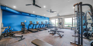 Beckon Collective Gallery 43