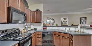 Lullwater at Saluda Pointe Gallery 1