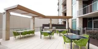 The Catherine Gallery 11