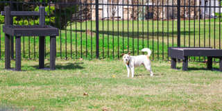 Whethersfield Gallery 52