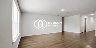 313 Bounding Main Gallery 3