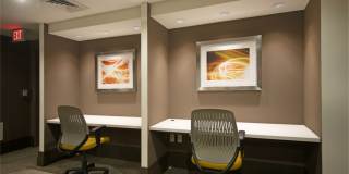 Ellis Bethesda Gallery 49