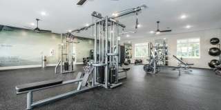 West Shire Village Gallery 33