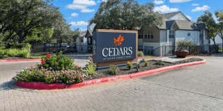 Cedars at River Legacy Park Gallery 23