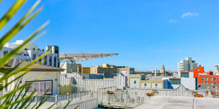 The Woodward Gallery 37