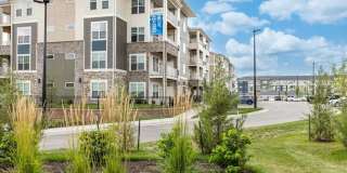 The Bonavia at Withers Farm Gallery 11