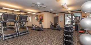 Connally at Clear Creek 55+ Apartments Gallery 10