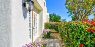43754 Avenue Alicante Gallery 13
