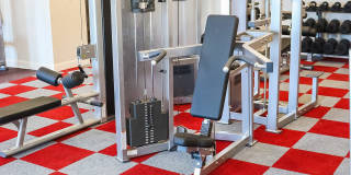 The Provost Gallery 5