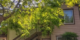 The Stratford Gallery 29