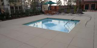 Amazing 4 Bedroom/3.5 Bathroom Townhome Gallery 17