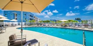 Pine Groves Gallery 30