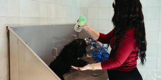 Moontower Phoenix Gallery 36