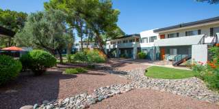 Icon on Pima Gallery 27