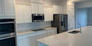 10060 DOLPHIN GULL CIRCLE 10060 DOLPHIN GULL CIRCLE Gallery 13